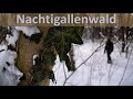 Der Nachtigallenwald in Leipzig bei Schnee