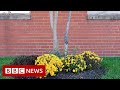 US election 2020: The story of Four Seasons Total Landscaping - BBC News