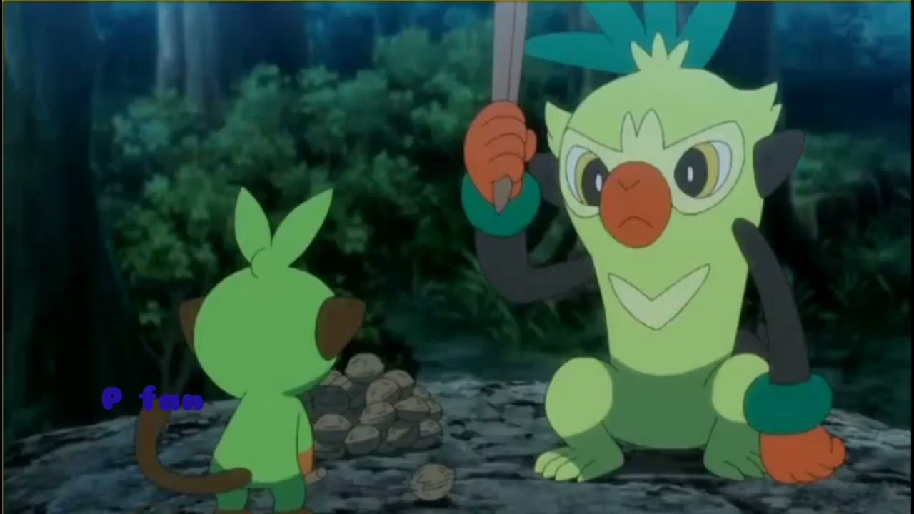Pokemon sword and shield episode 101 || Grookey & Thwackey suit moment