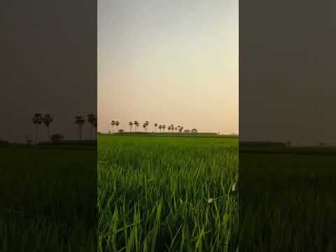 #nature #weather #beautiful #natural #viral #trending #trendingshorts #shortsfeed #youtubeshorts