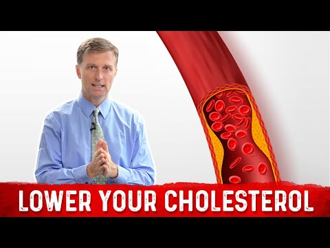 Why Does the Body Make 3000mg of Cholesterol Daily?