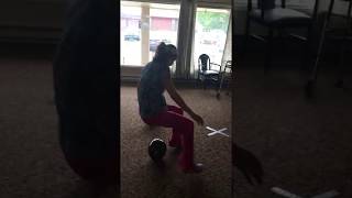 IMG 0492