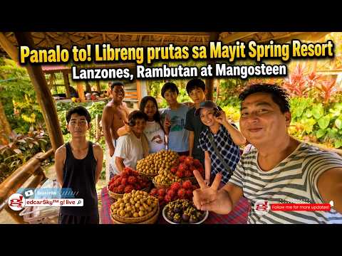 PANALO TO! Lanzones Rambutan Mangosteen: Libre Sa Mayit Resort