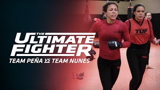 Laura Gallardo went into GO-TIME despite late TUF inclusion The Ultimate Fighter ESPN MMA