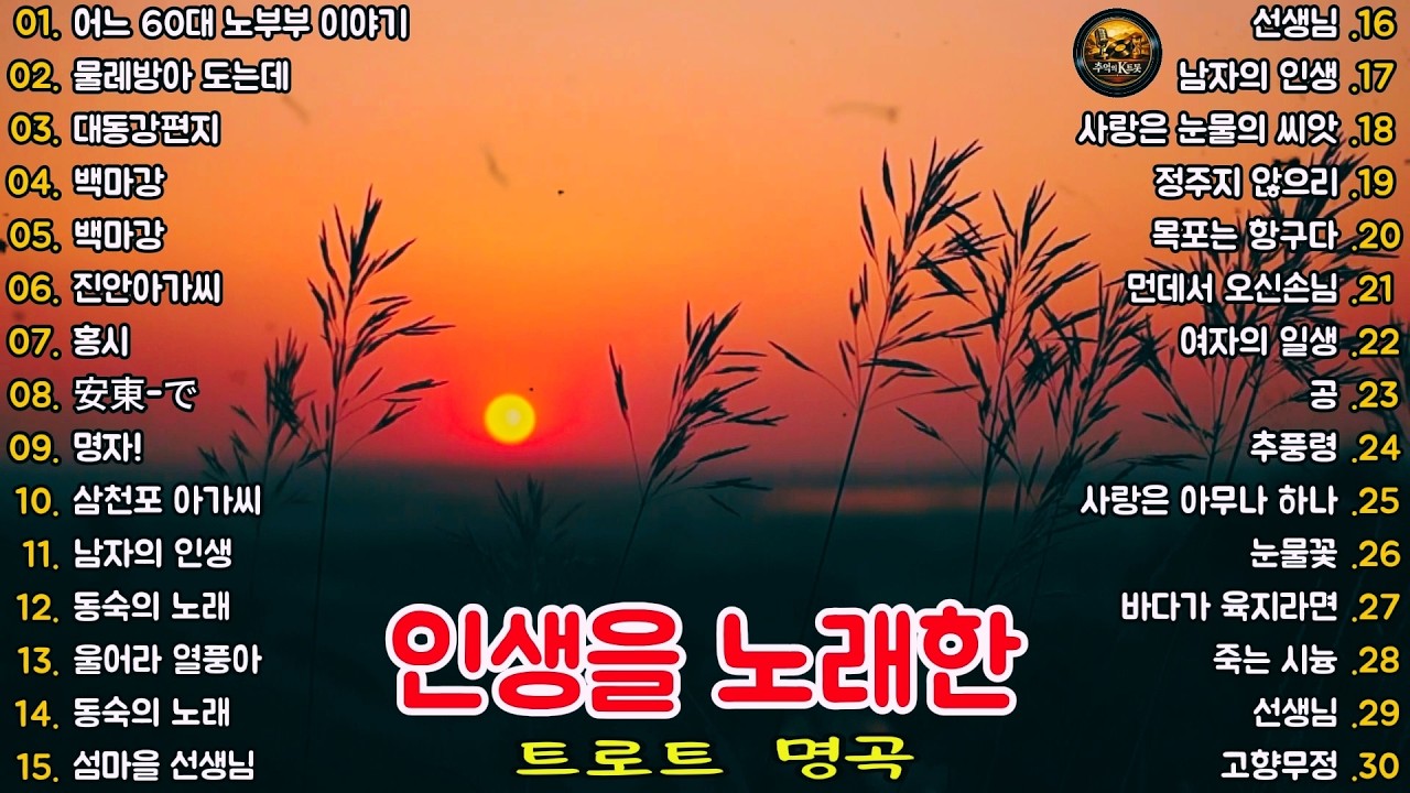 🎧 인생을 노래한 트로트 명곡 │ 어느 60대 노부부 이야기·홍시·남자의 인생·동숙의 노래 외 세월과 눈물을 담은 정통 트로트 30곡 연속듣기