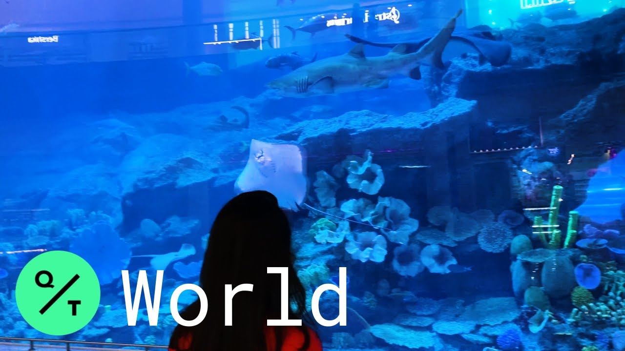 World's Largest Mall Re-Opens After Coronavirus Lockdown