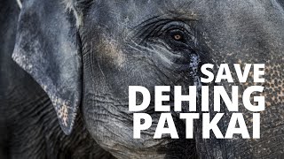 Save Dehing Patkai I Am Dehing Patkai Save Amazon Of East India