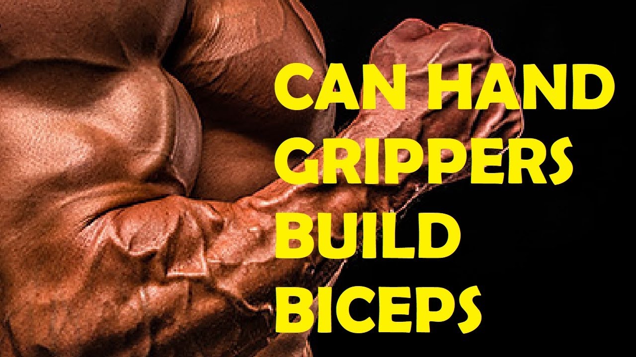 can hand grippers build biceps 