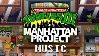 Teenage Mutant Ninja Turtles III: The Manhattan Project (NES) Double Trouble