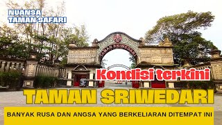 KONDISI TERKINI TAMAN SRIWEDARI SOLO