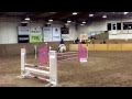 Borås fältrittklubb 3/4 2016 Ballymarkham Bandit