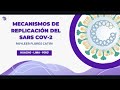 MECANISMO DE REPLICACION DEL SARS -COV 2 Y FISIOPATOLOGÍA DEL COVID 19