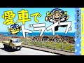 【愛車公開!!】さかなクンとドライブ