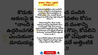 కూతురా.. కోడలా.. ఇద్దరిలో ఎవరు ప్రధానం/interesting stories in telugu/moral story