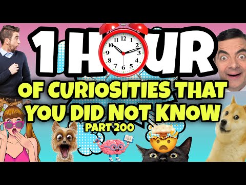 1 HOUR OF CURIOSITIES AND THINGS YOU DIDN’T KNOW 🧠⏰ #200