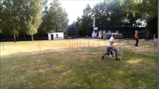 Australian shepherd - Be Happy Haliba - slalom by Denny Denda 338 views 9 years ago 37 seconds