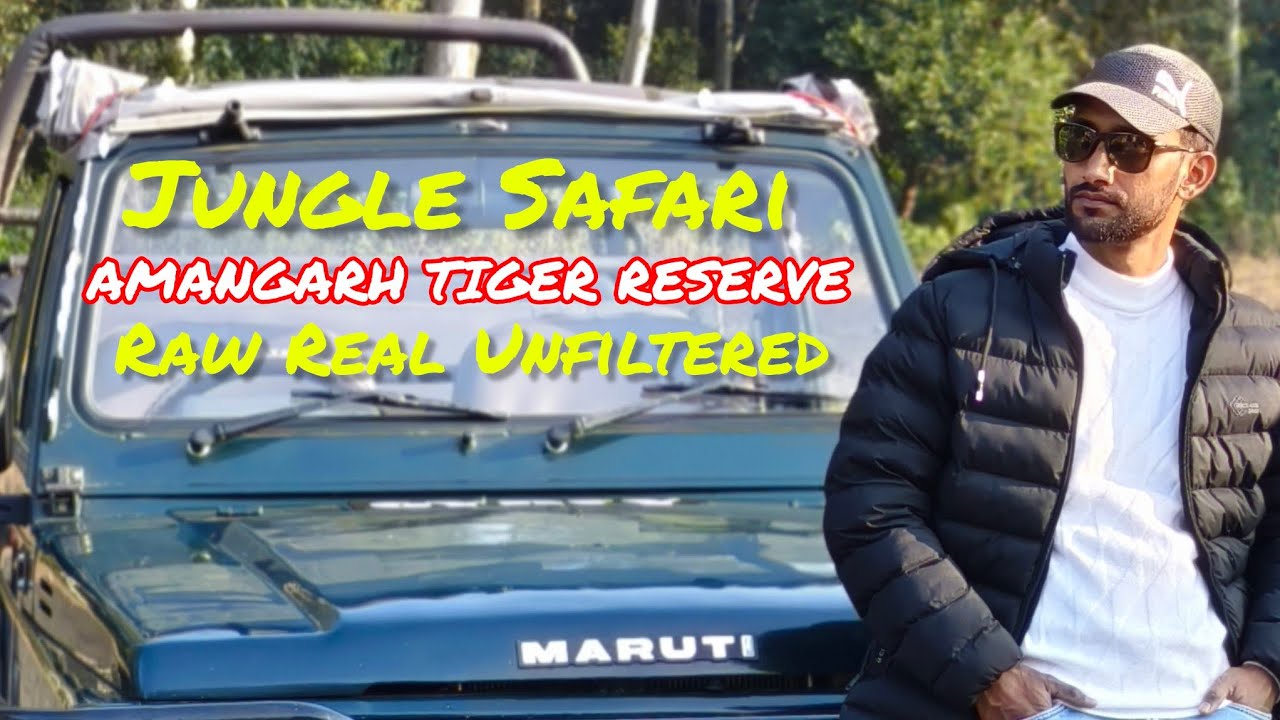 Amangarh Tiger Reserve Jungle Safari 🦌🐅🐘🐻 | Real Wildlife Experience | Full Safari Vlog