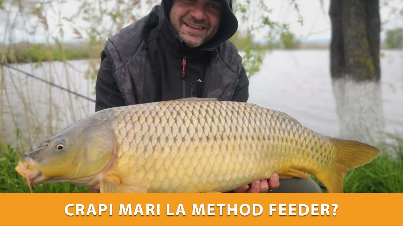 Ponturi pentru selectia crapilor la method feeder + prezentare noua lanseta de feeder!