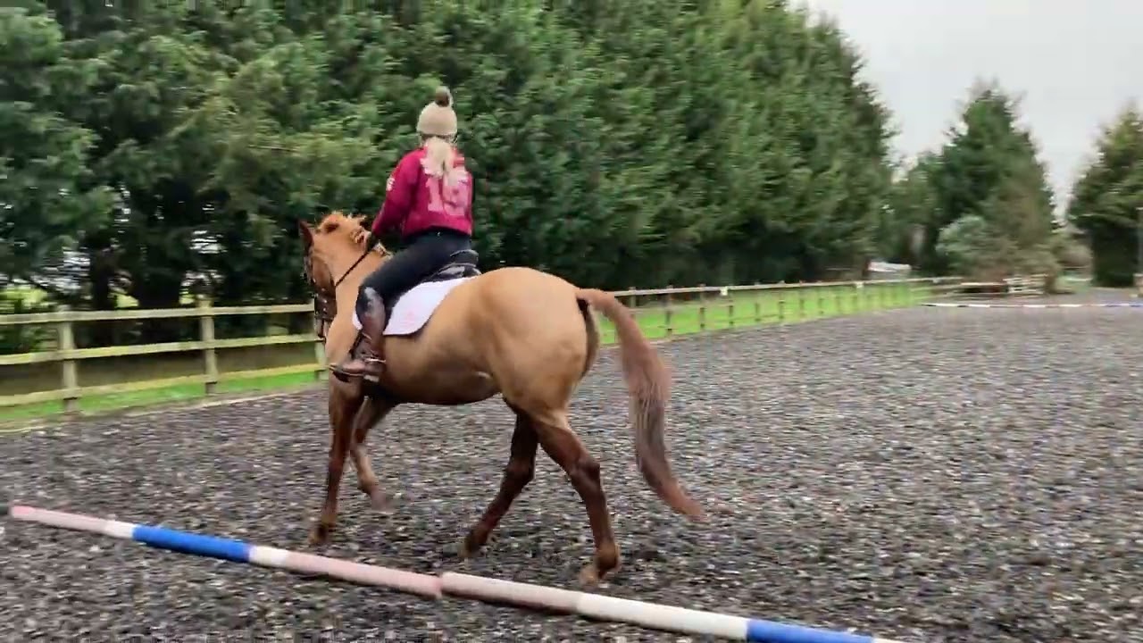 Laura Bennett & Lematan Sunshine Sadie, Malvern Hills Riding Club, Elementary 4a, January 2022