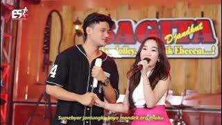 Diva Hani Ft Widhi Arjuna - Tulus _ Sagita Djandhut Assololley _ Dangdut (Offical )