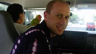 New Hawaii Full Simon Butterfly Izabela Iza Bruderek Kowalewska Monica Colye