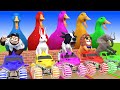 5 Giant Duck, Monkey, Piglet, chicken, dog, Kangaroo, Mammoth, Transfiguration funny animal 2023