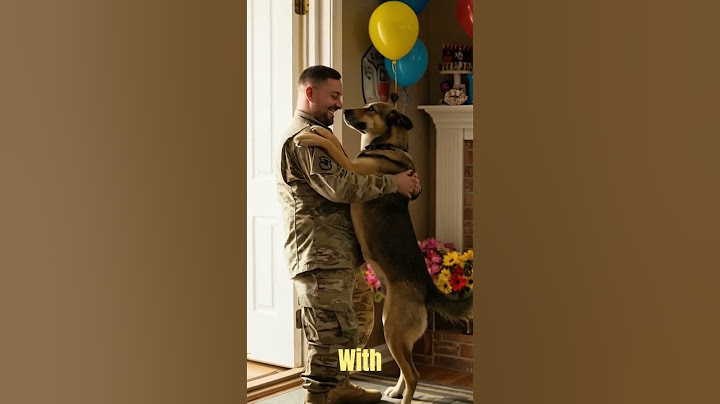 Home at Last A Soldier’s Emotional Reunion with His Loyal Dog #shorts #militarydogs #k9heroes #dog