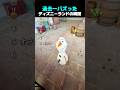 過去一バズった ! ? ディズニーランドの瞬間 TOP6