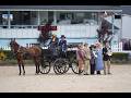 Devon Horse Show Draws Riders and Enthusiasts