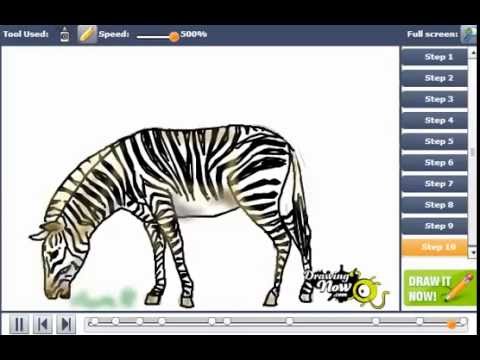 How to Draw a Zebra - YouTube