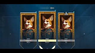 The low Elo Experience