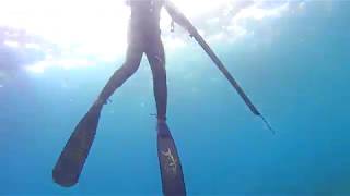 Trygons Dmf 110 Wonderfull Balanced Speargun