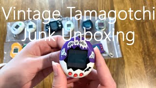 I Paid 250 For A Tamagotchi Junk Lot