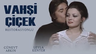 Vahşi Çiçek Türk Filmi Restorasyonlu Cüneyt Arkin Leyla Kenter