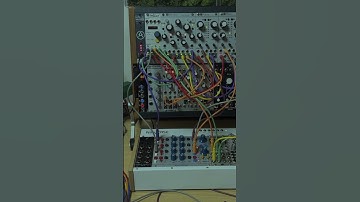 #modularsynth #eurorack #oscilator #lfo #filter #adsr #patch #seq #dawless #noise