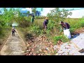 Cleaning Up the Weed Covered Fire Exit – A Happy Transformation