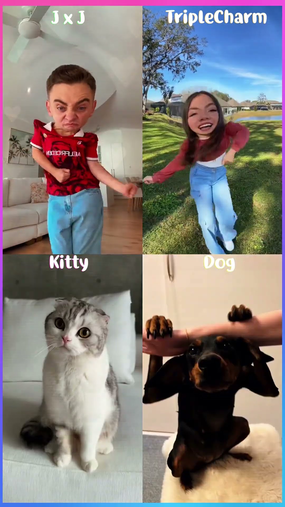 Ming Ming - James x Jasmin x Triplecharm x Kitty x Dog #shorts #dance #tiktok