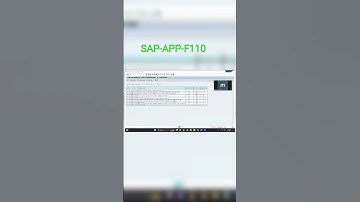 Automatic payment program F110 Errors analysis # SALP FICO # CO #sap