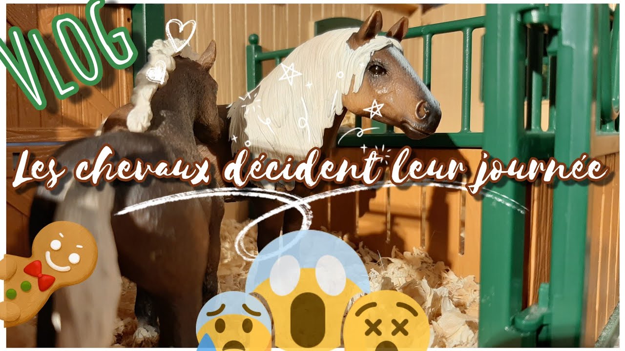 Vlog schleich - 24h challenge -