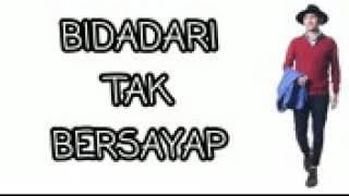 Bidadari tak bersayap