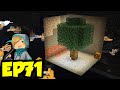 Let's Play Minecraft Episode 71