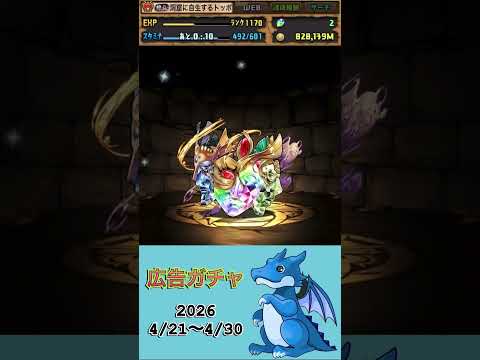 [パズドラ]  広告ガチャ　2026/4/21〜4/30