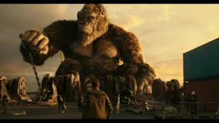 Here we go •Godzilla vs Kong•