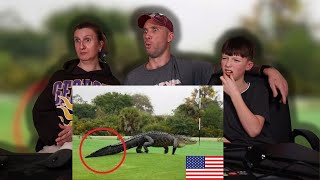 Graham Family Reacts To Animals Only Found In America