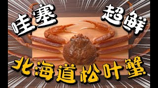 哇塞！超详细教程【松叶蟹】拆蟹、刺身、涮煮操作方法，搭配减盐健康的调味吃法|[pine leaf crab] remove crab, sashimi, rinse and boil