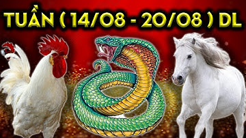 Tử Vi Tuần 14/08 - 20/08 Dương, 3 Con Giáp Nghèo Khổ Nhục Nhã Bỗng Đổi Đời Đại Gia Sau 1 Đêm.