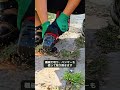 歩道脇に突き出た116本の金属を、一つずつ取り除く男性… #歩道の安全 #思いやり #人助け #地域の安全 #身近な優しさ