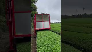 Japanese Tea Harvester #Machine