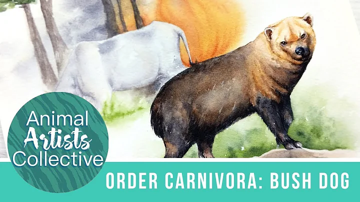 Animal Artists Collective: Order Carnivora (Bush D...
