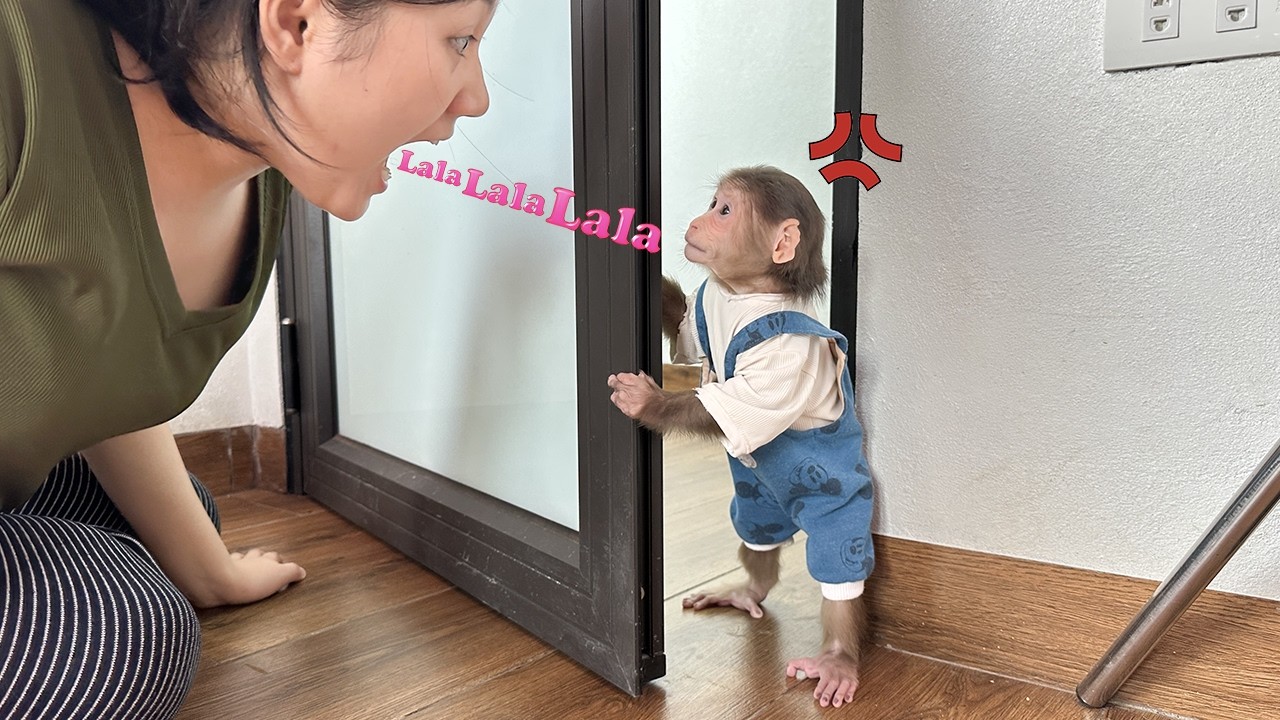 Lala and Mom had a conflict after a minor misunderstanding!